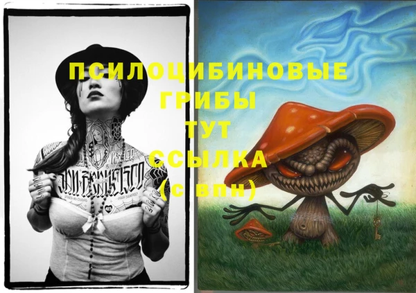 спиды Белокуриха