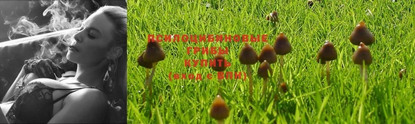 прущая мука Белоозёрский
