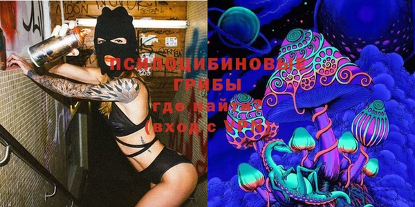 метадон Богородицк