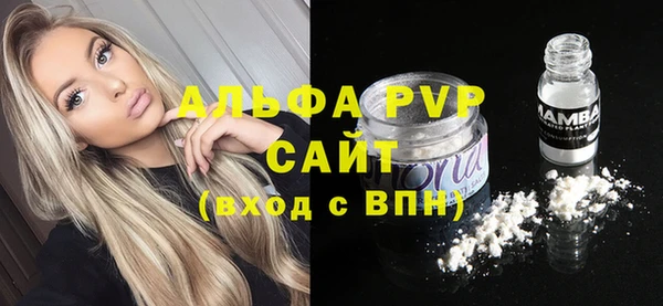 спиды Белокуриха