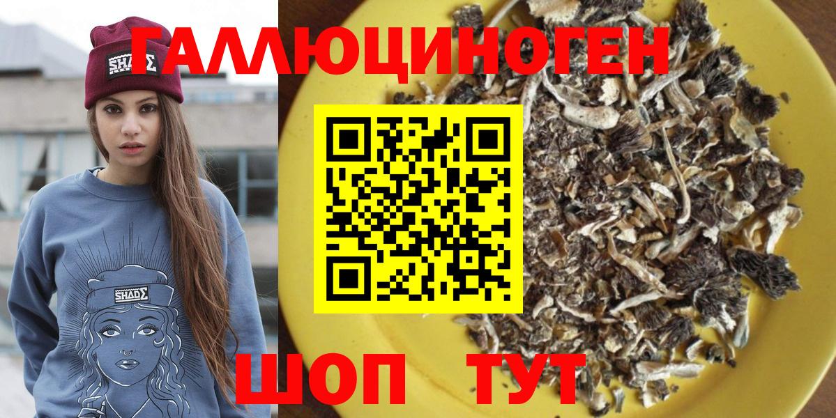 Реутов  Псилоцибиновые грибы MAGIC MUSHROOMS  Вход с VPN 
