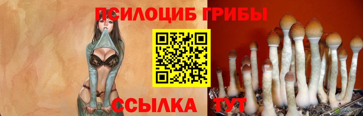 Псилоцибиновые грибы мухоморы Реутов